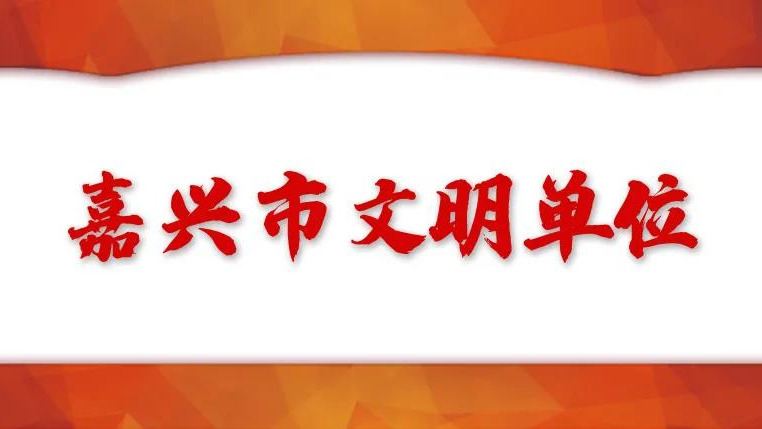 喜讯| 浙江科博达荣获“嘉兴市文明单位”