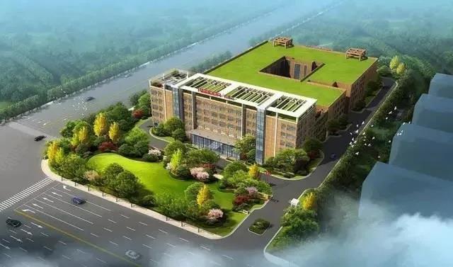 科博达：上市后首份年报亮相 深度融入高端客户供应链