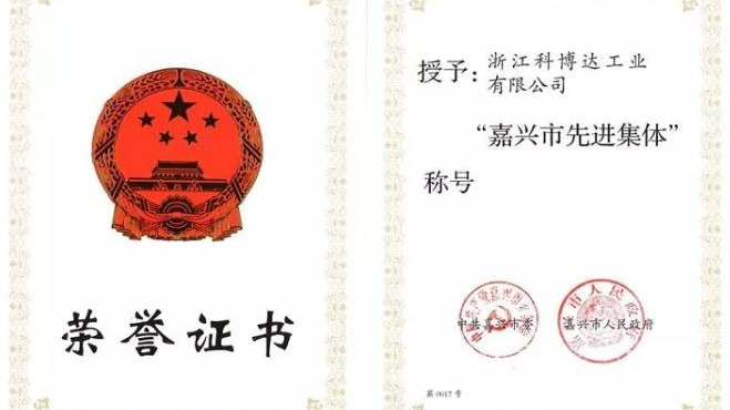 喜报 | 浙江科博达工业有限公司被评为嘉兴市先进集体